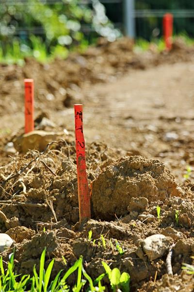 Suivi de chantier Teissier Technique (du 1er au 15 août)